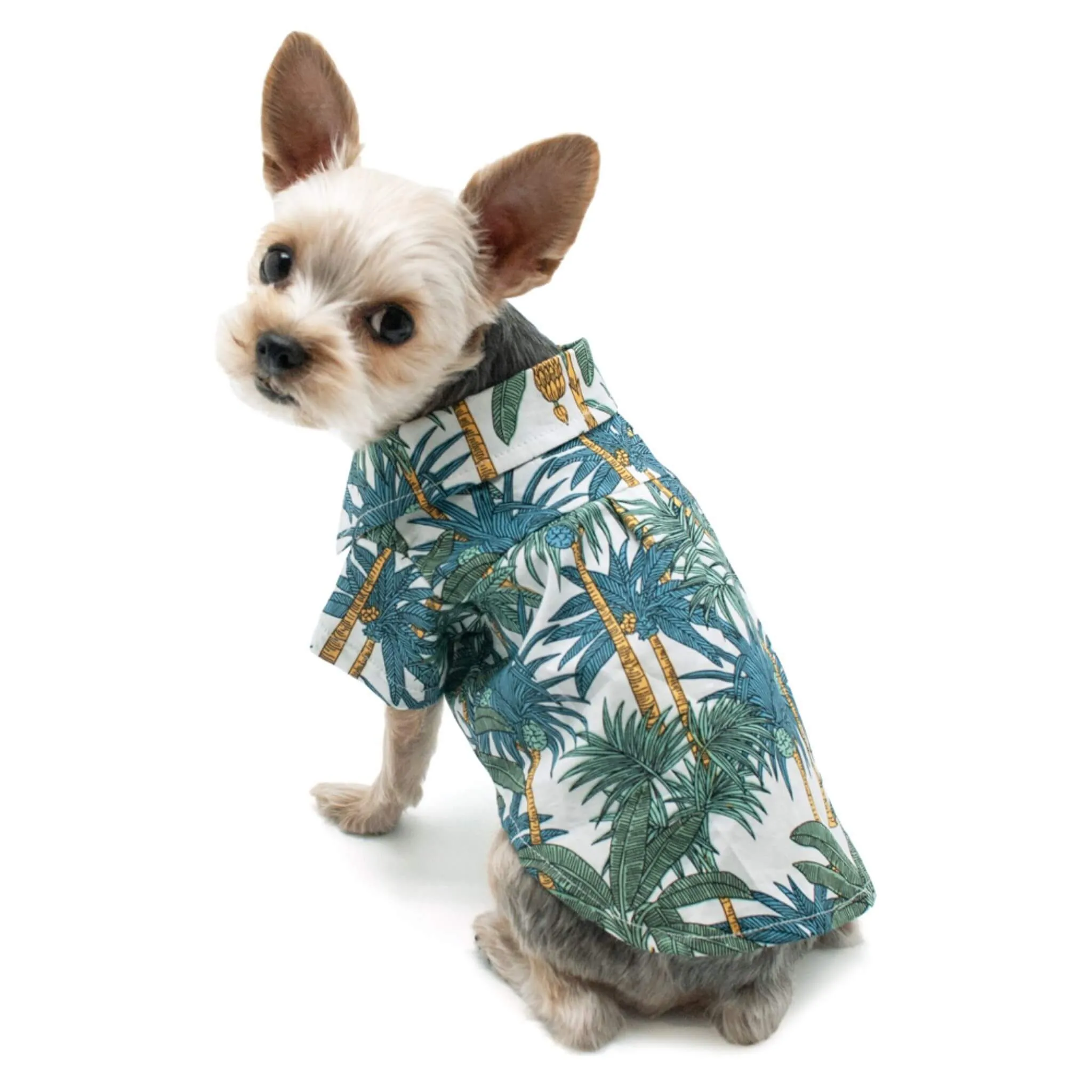 Tropical Leaf Dog Shirt